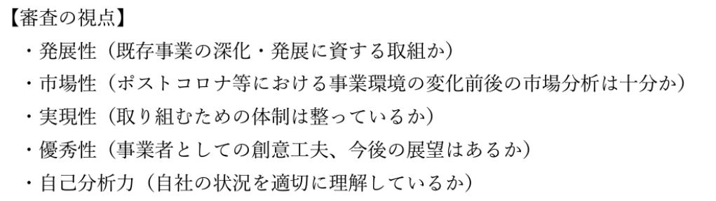 経営展開サポート事業の申請サポート、プロコン補助金_図表4_審査の観点